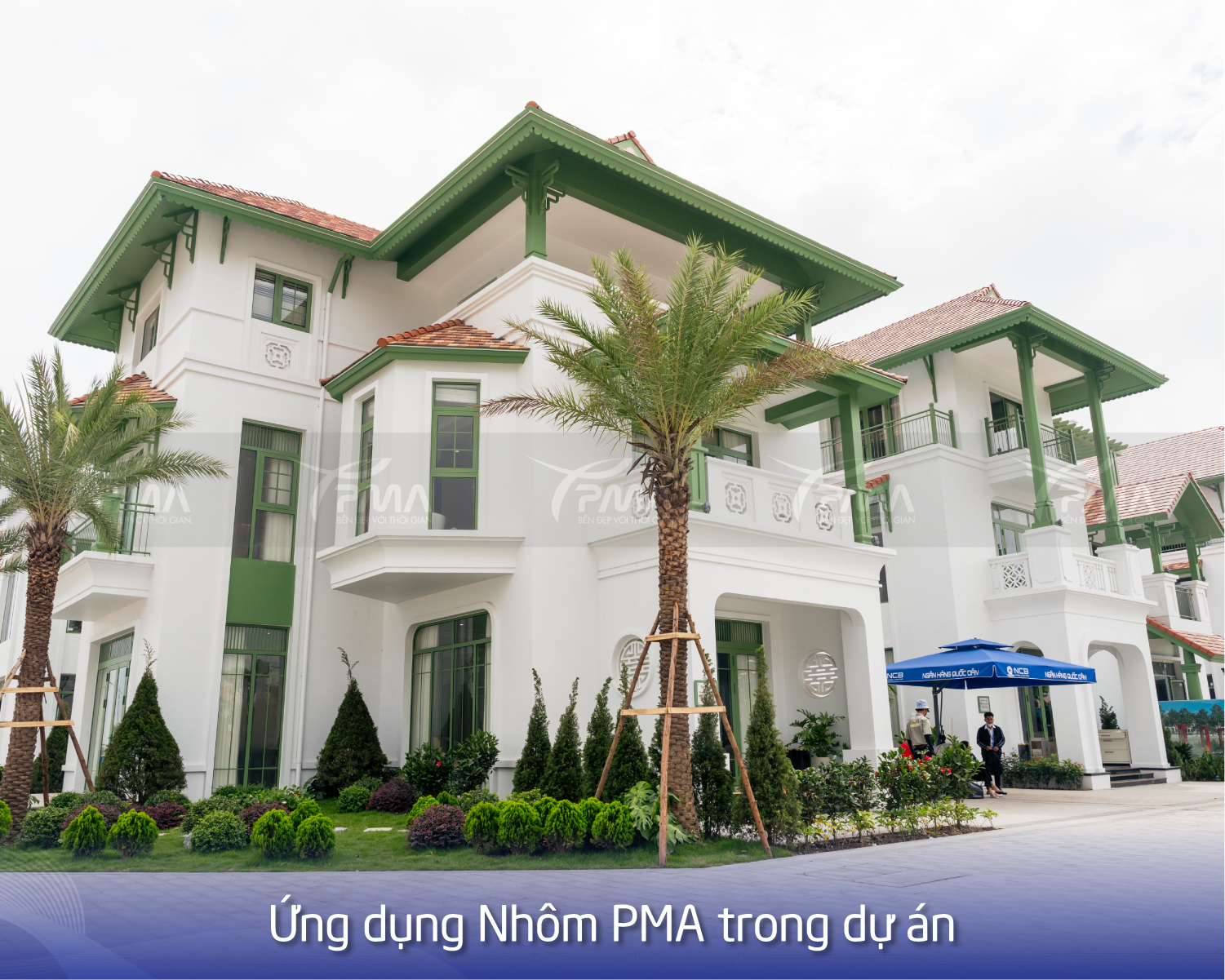 Web Title Pma (1) Copy-02