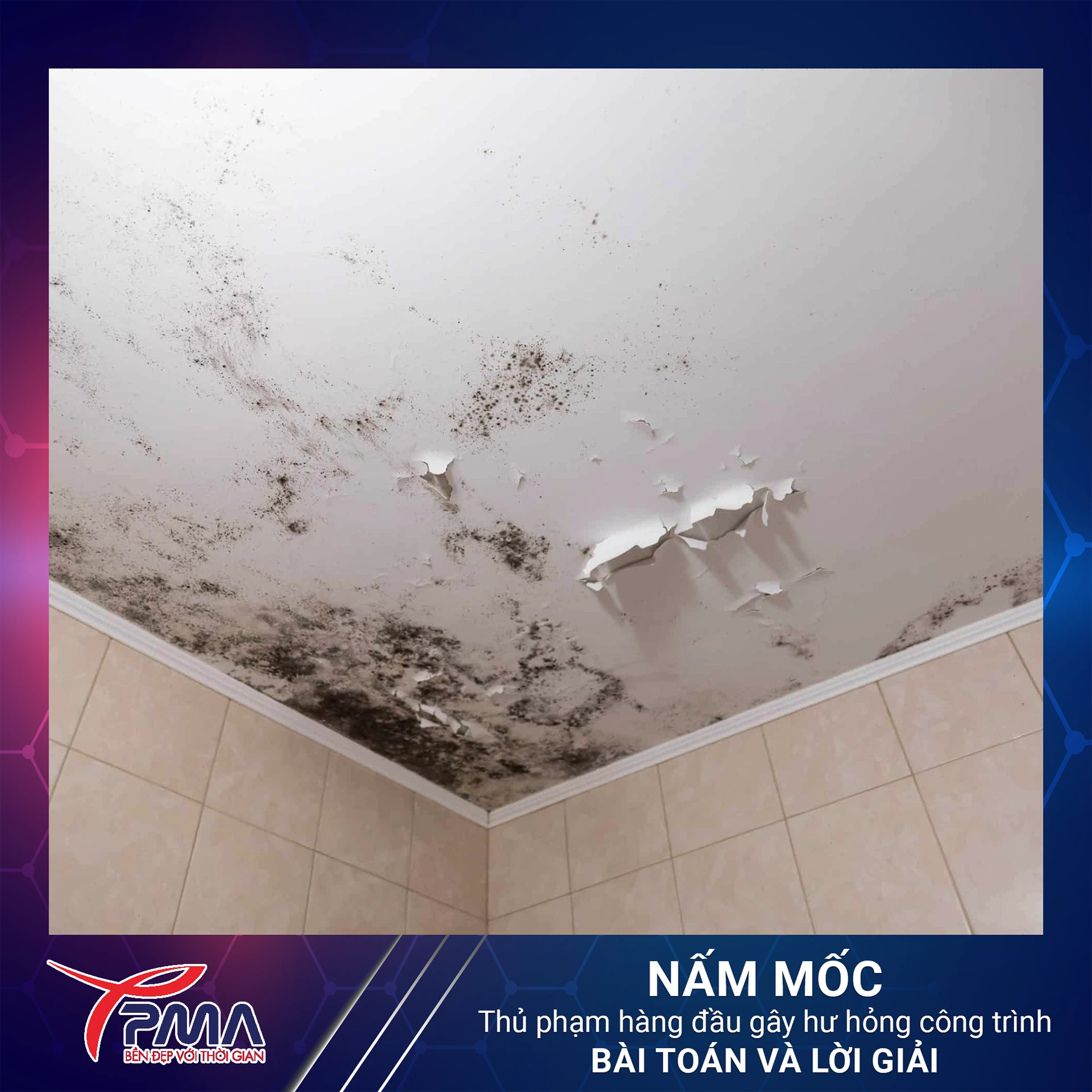 Nam-moc-thu-pham-hang-dau-gay-hu-hong-cong-trinh-bai-toan-va-loi-giai (2)