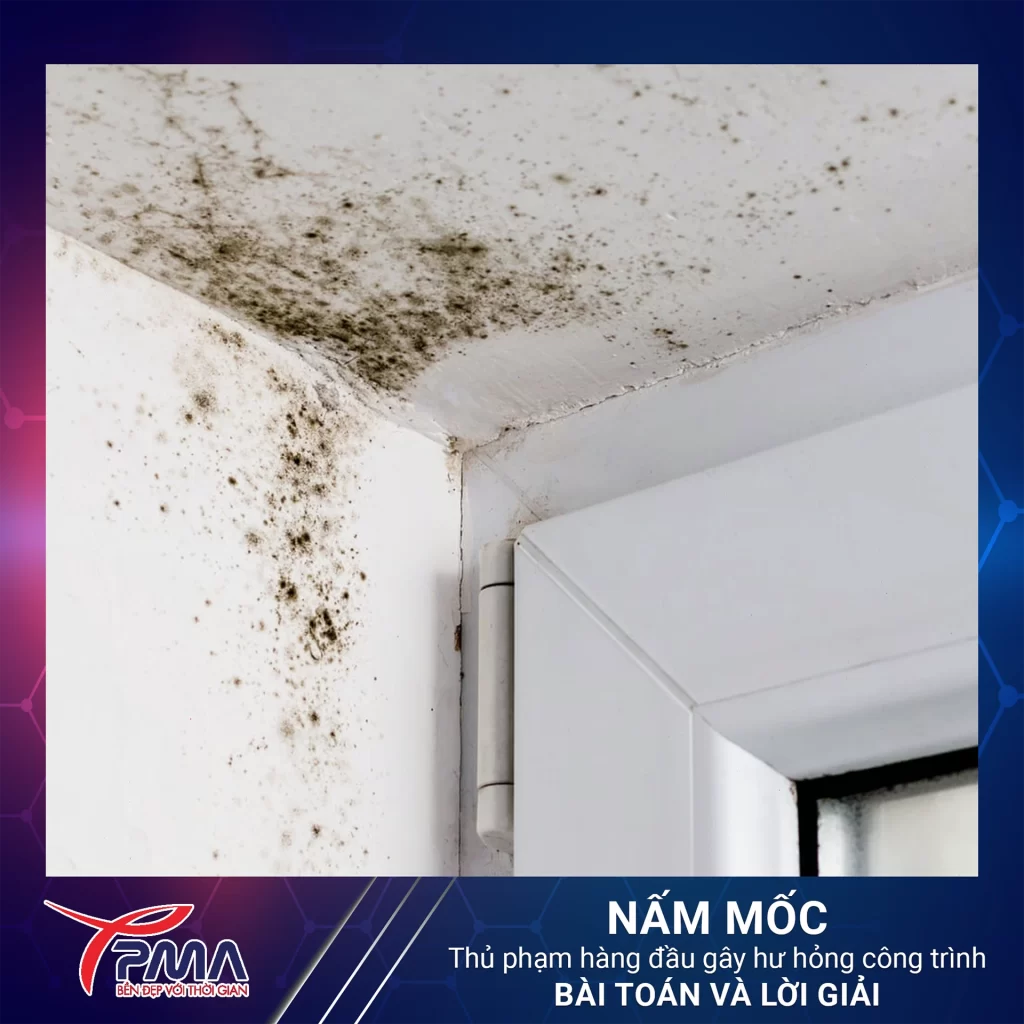 Nam-moc-thu-pham-hang-dau-gay-hu-hong-cong-trinh-bai-toan-va-loi-giai (4)
