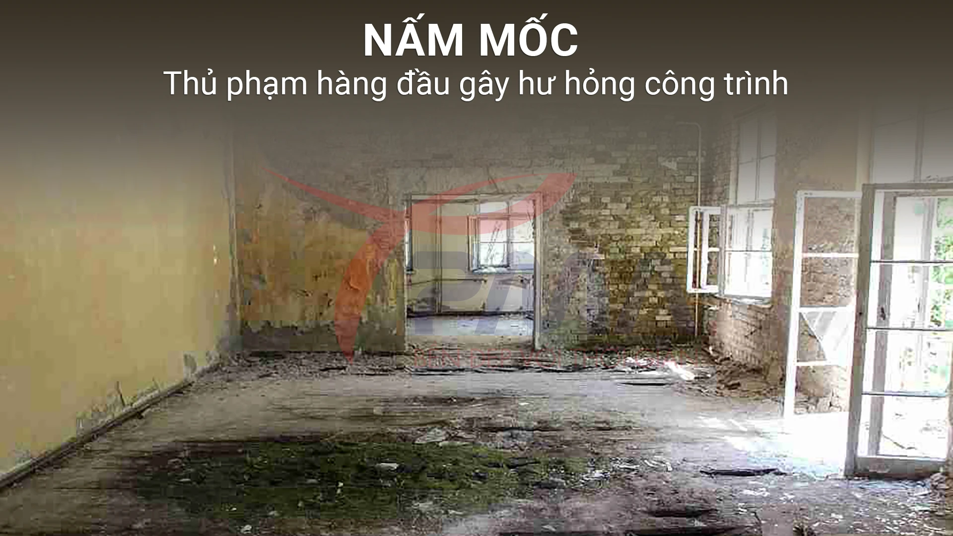 Nam-moc-thu-pham-hang-dau-gay-hu-hong-cong-trinh-bai-toan-va-loi-giai